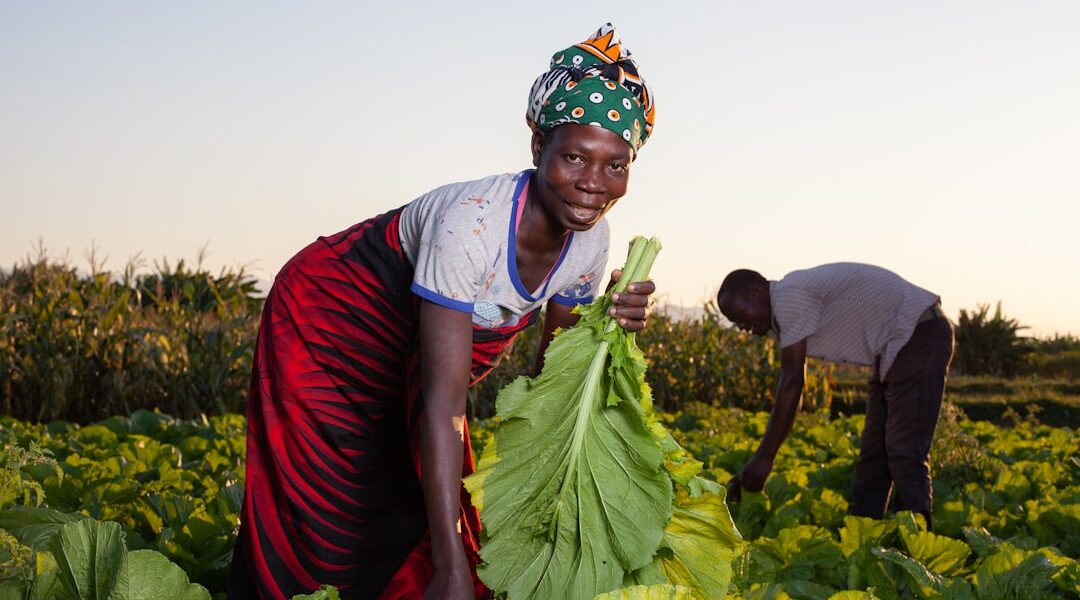 How to Craft a Winning Economic Development Strategy for African Countries